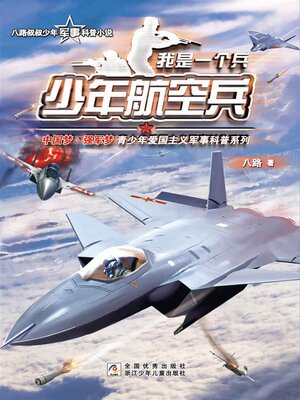 cover image of 少年航空兵